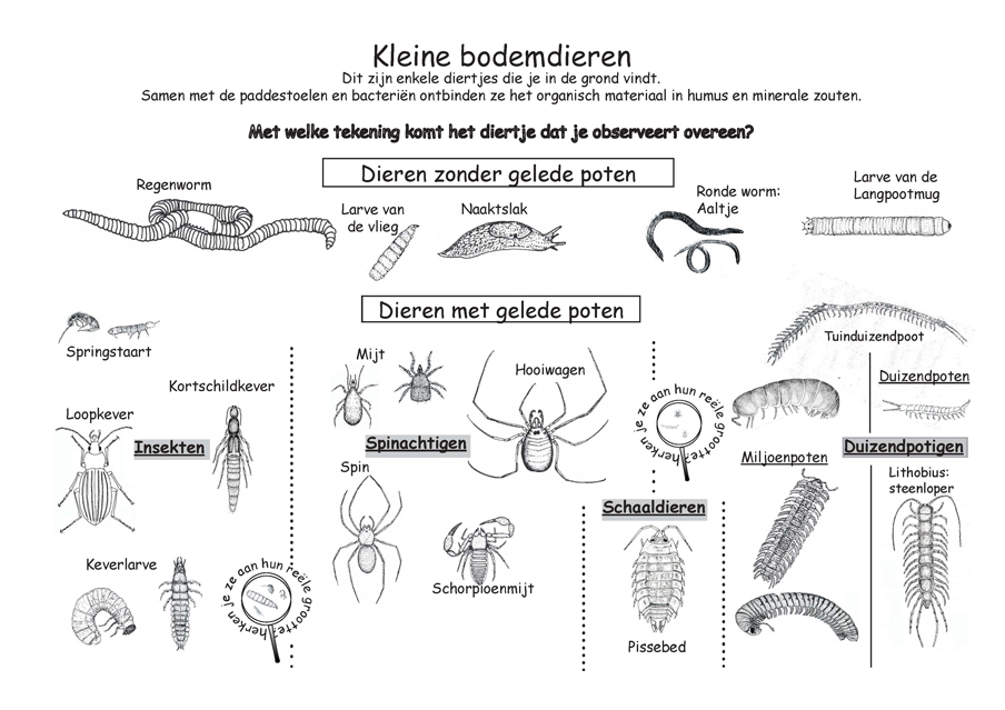 zoekkaart bodemdieren