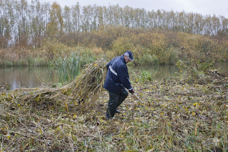 riet maaien